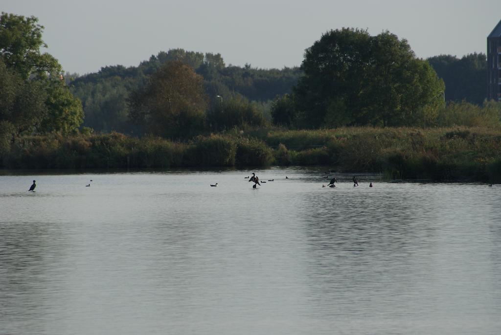 Ecostay De Ijsvogel Kampen Pokoj fotografie